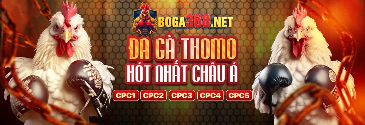Chọn và đăng ký khuyến mãi qq66 chính thức